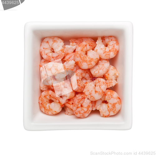 Image of Small shrimp