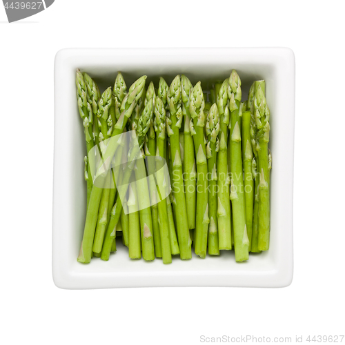 Image of Asparagus