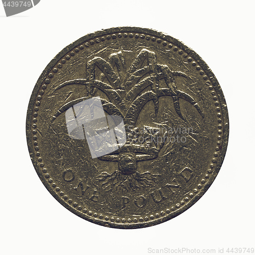 Image of Vintage Pounds