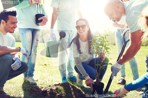 Image of group of volunteers planting tree in park