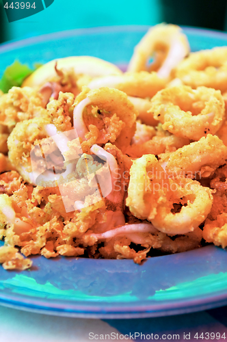 Image of Calamari