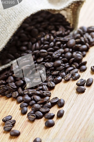 Image of Coffee beans