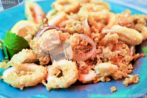 Image of Calamari