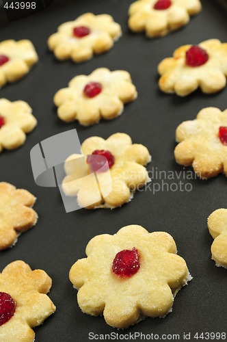 Image of Cookies