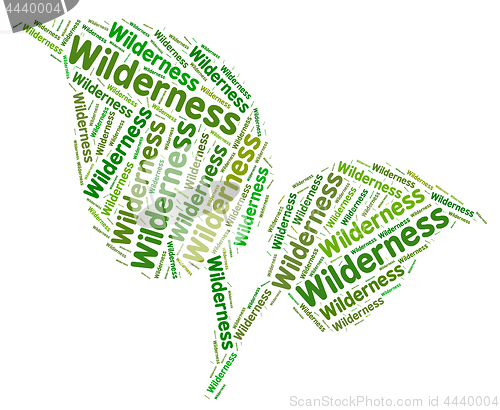 Image of Wilderness Word Represents Uncultivated Land And Area