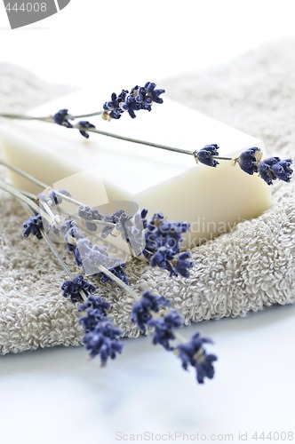 Image of Lavender soap