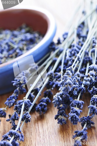 Image of Dried lavender