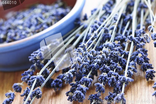 Image of Dried lavender