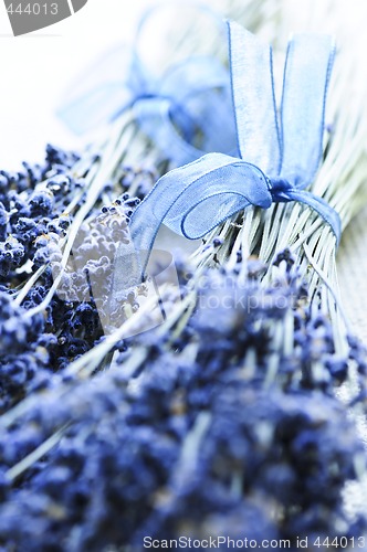 Image of Dried lavender