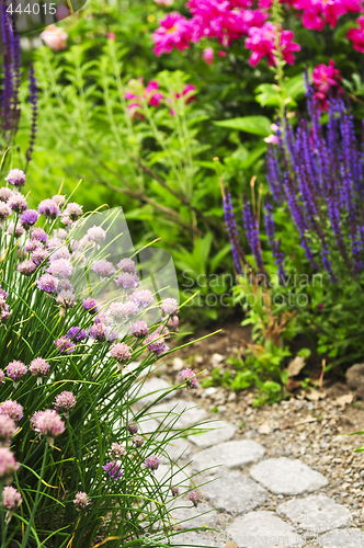 Image of Path in blooming garden