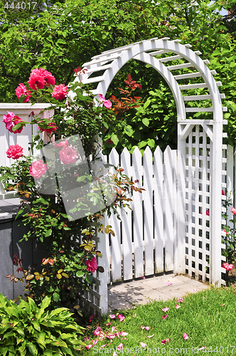 Image of White arbor in a garden