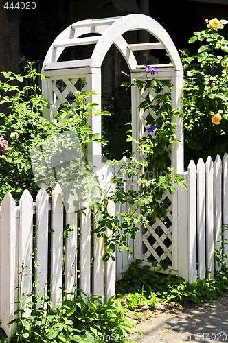 Image of White arbor in a garden