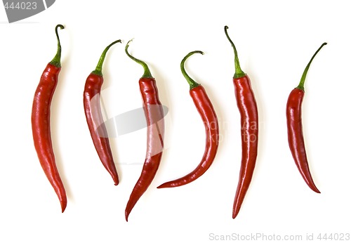 Image of Red hot chili peppers