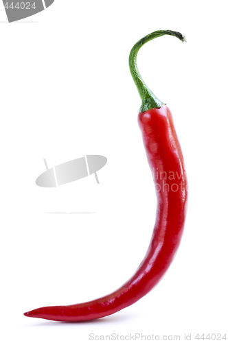 Image of Red hot chili pepper