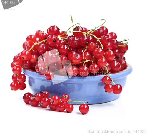 Image of Red currants