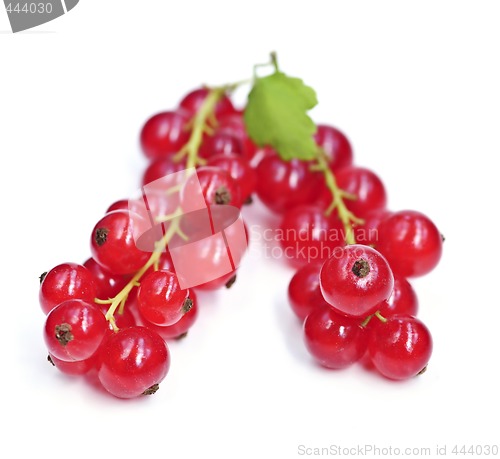 Image of Red currants