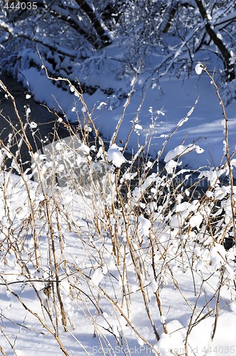 Image of Winter landscape