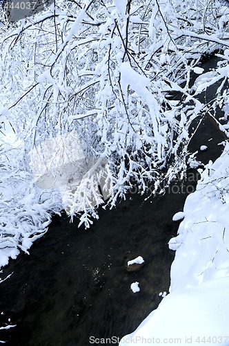 Image of Winter landscape