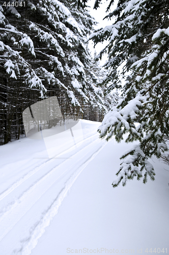 Image of Winter landscape