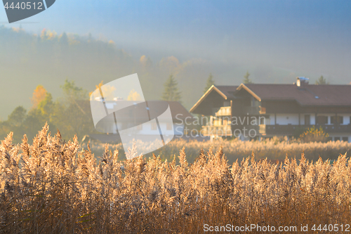 Image of Autumn morning landscape with fog over lake