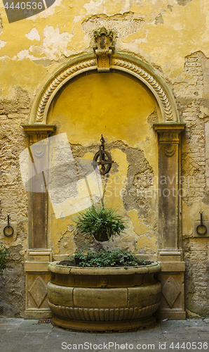 Image of Detail of a garden in Siena