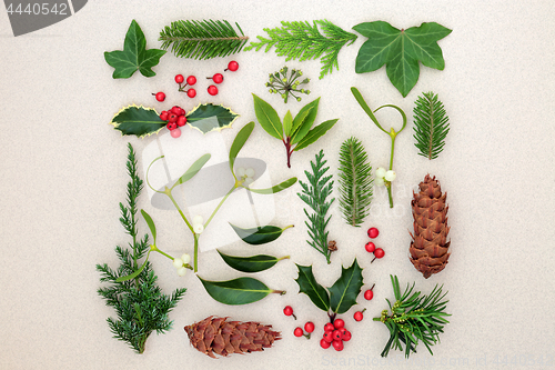 Image of Winter Leaves with Holly and Mistletoe