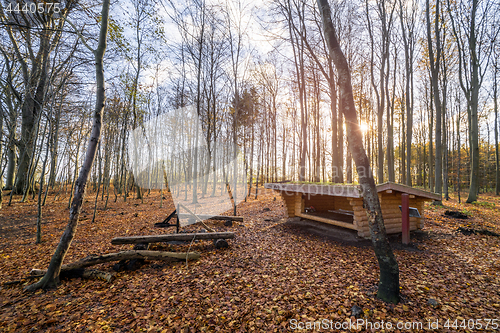 Image of Shelter in a forest sunrise