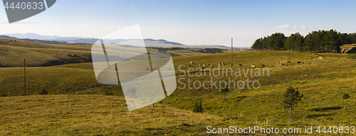 Image of Zlatibor mountain panorama