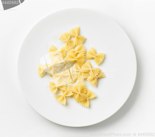 Image of fresh pasta on white plate