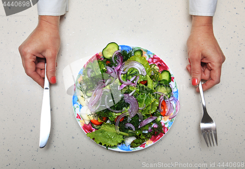 Image of healthy lunch and hands with kitchen flatware 