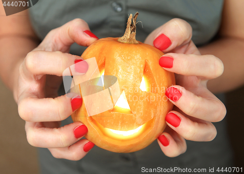 Image of small yellow pumpkin in hands