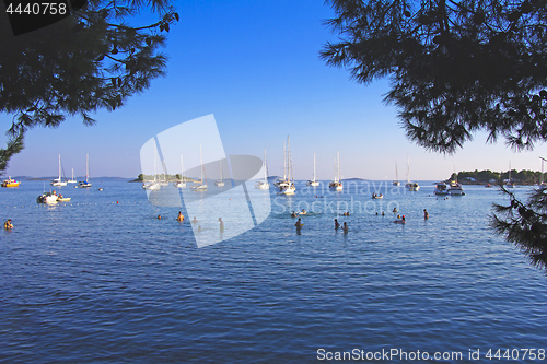 Image of Anchored sailing boats in the bay on island Murter, Croatia