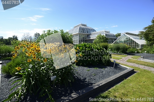 Image of HELSINKI, FINLAND – JUNE 27 2018:  The University of Helsinki 