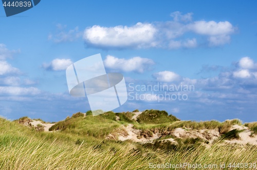 Image of Sand Dunes with Grass