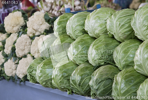 Image of Fresh cabbages and cauliflower at a market