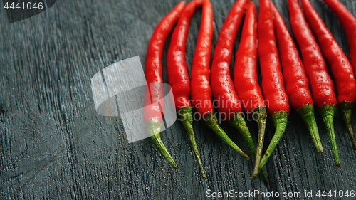 Image of Composed row of red chili peppers