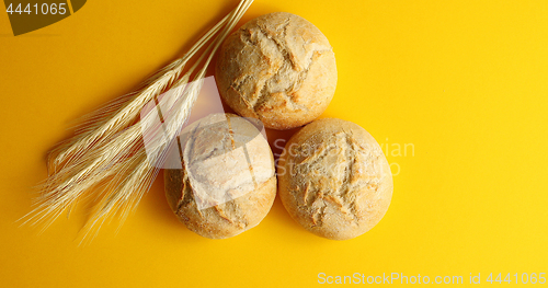 Image of Golden buns of bread and wheat