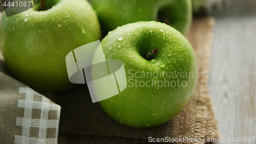 Image of Green wet apples in drops