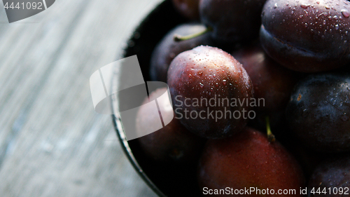 Image of Closeup of wet fresh plums