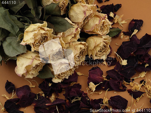 Image of Dried Roses