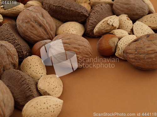 Image of Nuts on Tan