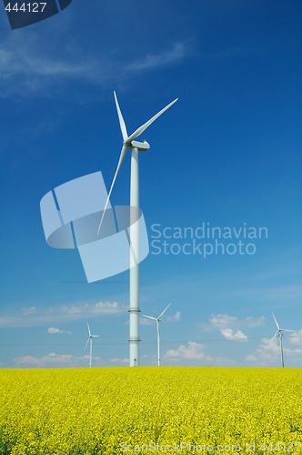 Image of farm of windturbines close to rape field