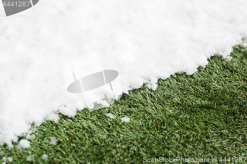 Image of Meeting snow on green grass close up - between winter and spring concept background