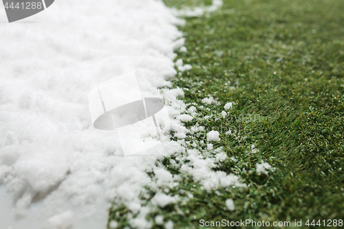 Image of Meeting snow on green grass close up - between winter and spring concept background