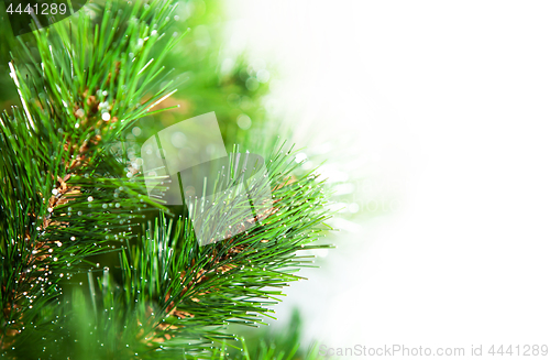 Image of New Year tree for greeting card