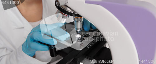 Image of Scientist hands with microscope