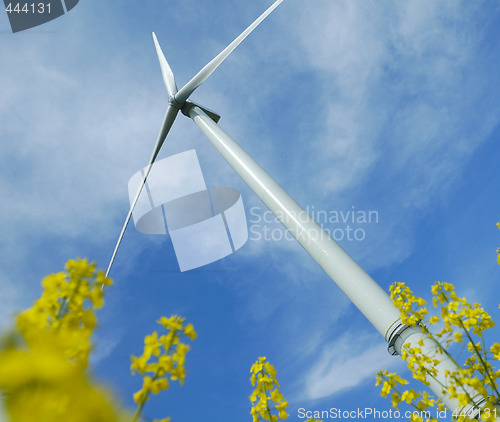 Image of a windturbine into a rape field