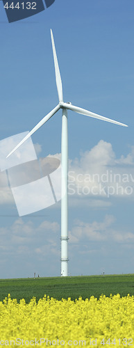 Image of a windturbine into a rape field
