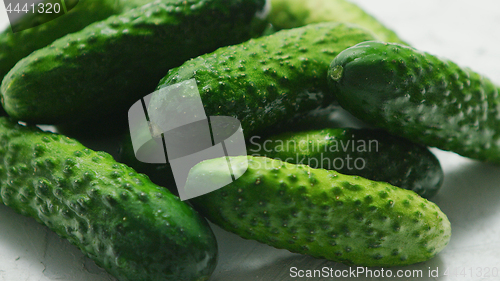 Image of Green cucumbers in closeup
