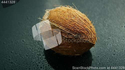 Image of Whole unpeeled coconut 